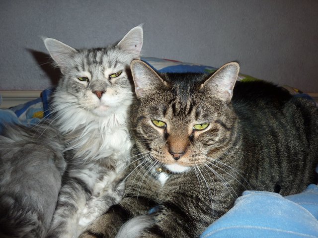 Maggie and Dandy