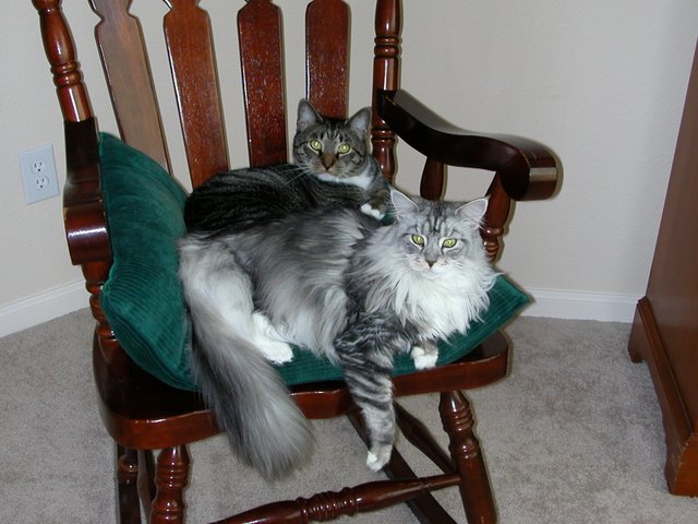 Maggie Chillin' with Dandy